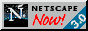Netscape logo